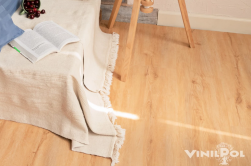 VinilPol spc ������