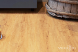 VinilPol spc ������
