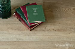 VinilPol spc ������