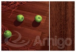 ��������� AMIGO "������������ ������"