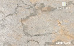 ����������� �������� ����