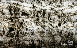 ����������� �������� ���� "EcoStone Translucent"