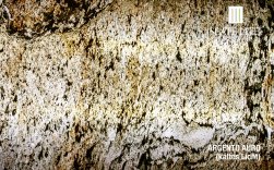 ����������� �������� ���� "EcoStone Translucent"
