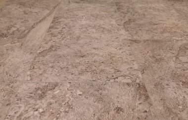 STONEFLOOR - �������� SPC ������� � ��������