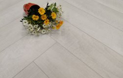 STONEFLOOR - �������� SPC ������� � ��������