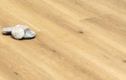 STONEFLOOR - SPC ������� � ��������