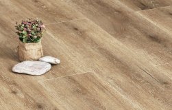 STONEFLOOR - SPC ������� � ��������