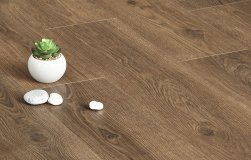 STONEFLOOR - SPC ������� � ��������