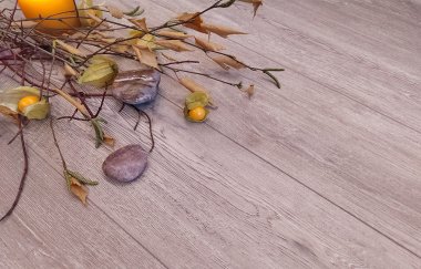 STONEFLOOR - SPC ������� � ��������
