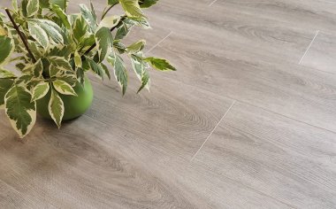 STONEFLOOR - SPC ������� � ��������