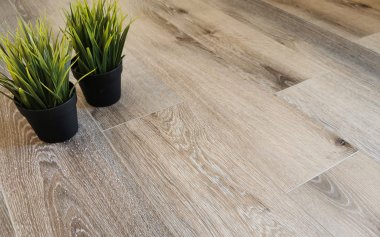 STONEFLOOR - SPC ������� � ��������