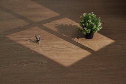 STEINHOLZ Herringbone � �������� SPC ������� � ��������