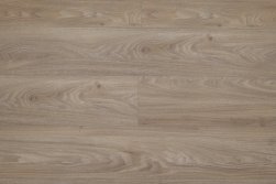SPC ������� Steinholz