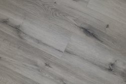 SPC ������� Steinholz