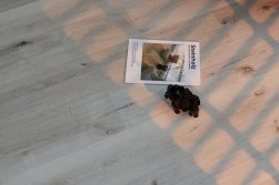 SPC ������� Steinholz