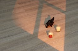 SPC ������� Steinholz