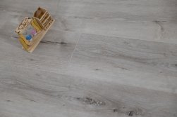 SPC ������� Steinholz