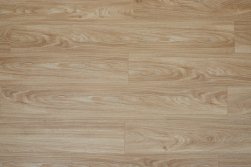 SPC ������� Steinholz