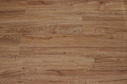 SPC ������� Steinholz