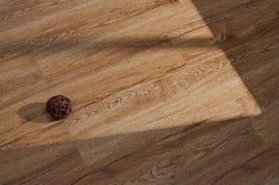 SPC ������� Steinholz