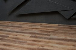 SPC ������� Steinholz