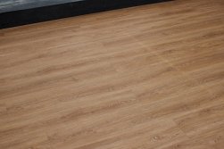 STEINHOLZ � �������� SPC �������