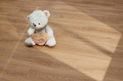 STEINHOLZ � �������� SPC �������