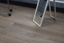 STEINHOLZ � �������� SPC �������