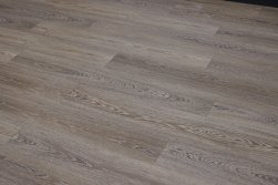 STEINHOLZ � �������� SPC �������