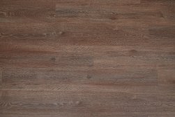 STEINHOLZ � �������� SPC �������