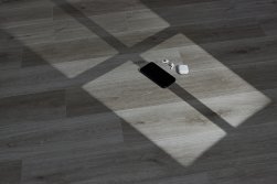 STEINHOLZ � �������� SPC �������