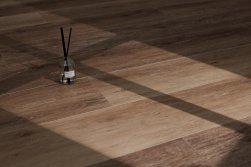 STEINHOLZ � �������� SPC �������