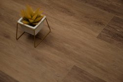 STEINHOLZ � �������� SPC �������