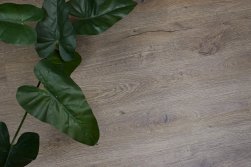 STEINHOLZ � �������� SPC �������