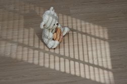 STEINHOLZ � �������� SPC �������