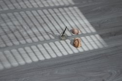 STEINHOLZ � �������� SPC �������
