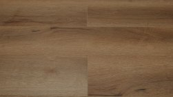 STEINHOLZ � �������� SPC �������