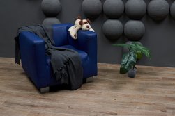 STEINHOLZ � �������� SPC �������