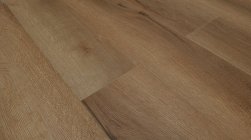 STEINHOLZ � �������� SPC �������