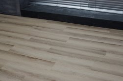STEINHOLZ � �������� SPC �������