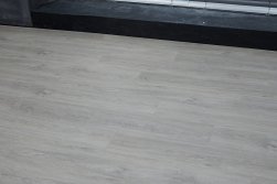 STEINHOLZ � �������� SPC �������