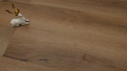 STEINHOLZ � �������� SPC �������