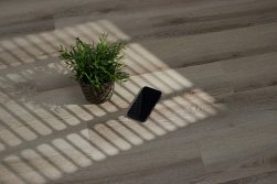STEINHOLZ � �������� SPC �������