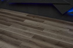 STEINHOLZ � �������� SPC �������