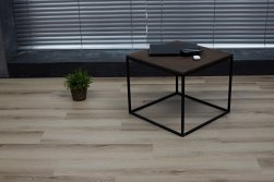 STEINHOLZ � �������� SPC �������