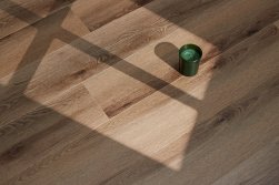 STEINHOLZ � �������� SPC �������