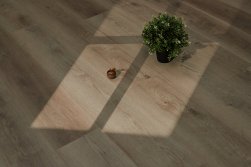 STEINHOLZ � �������� SPC �������