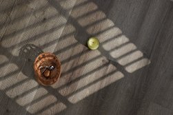 STEINHOLZ � �������� SPC �������