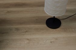 STEINHOLZ � �������� SPC �������