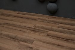 STEINHOLZ � �������� SPC �������